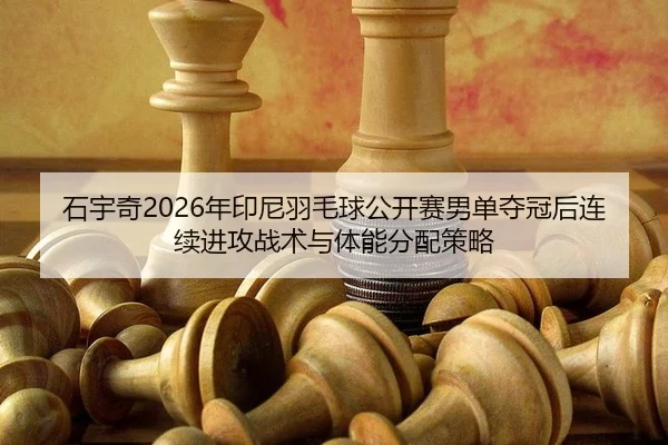 shi-yu-qi-nian-yin-ni-yu-mao-qiu-gong-kai-sai-nan-dan-duo-guan-hou-lian-xu-jin-gong-zhan-shu-yu-ti-neng-fen-pei-ce-lve-2-871.jpg