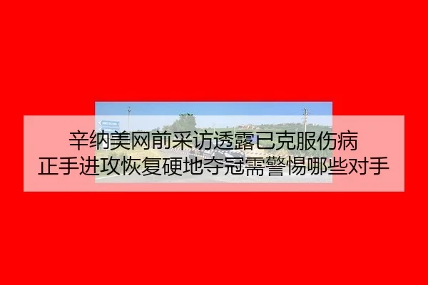 xin-na-mei-wang-qian-cai-fang-tou-lu-yi-ke-fu-shang-bing-zheng-shou-jin-gong-hui-fu-ying-di-duo-guan-xu-jing-ti-na-xie-3-119.jpg