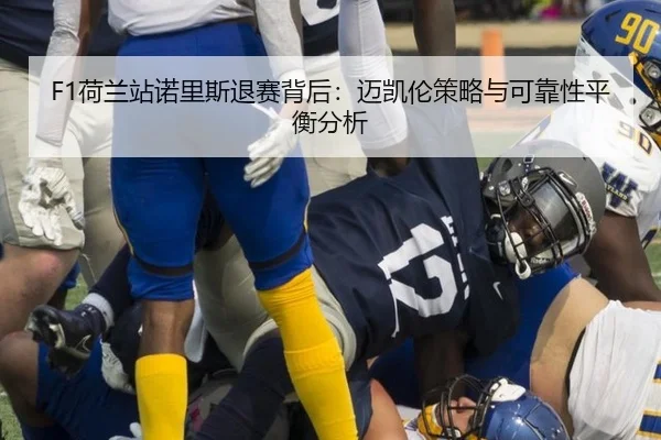 he-lan-zhan-nuo-li-si-tui-sai-bei-hou-mai-kai-lun-ce-lve-yu-ke-kao-xing-ping-heng-fen-xi-3-998.jpg